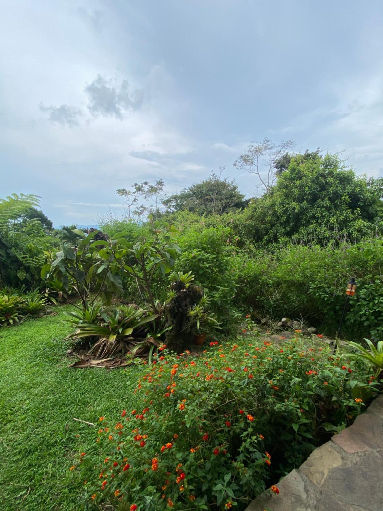Birds & Breakfast Costa Rica Bed & Breakfast La Tigra  Dış mekan fotoğraf